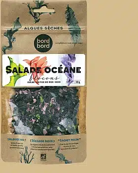 Salade Océane: Un mélange de dulse, Nori et Laitue de mer